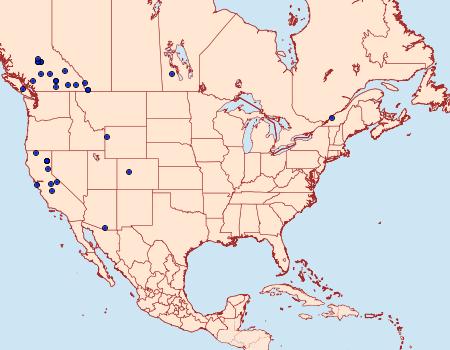 Distribution Data for Scopula quinquelinearia