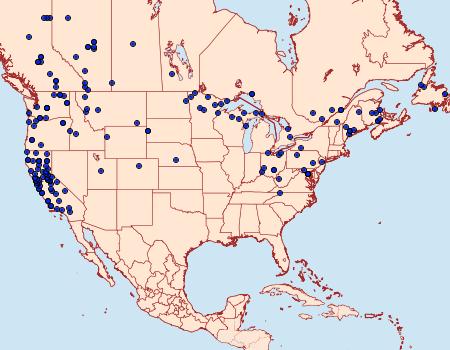 Distribution Data for Scopula junctaria