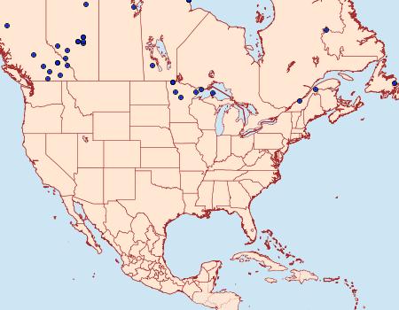 Distribution Data for Scopula frigidaria