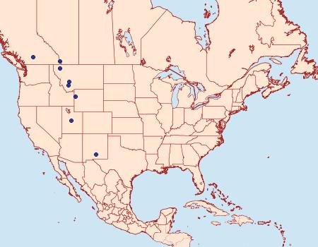 Distribution Data for Scopula siccata