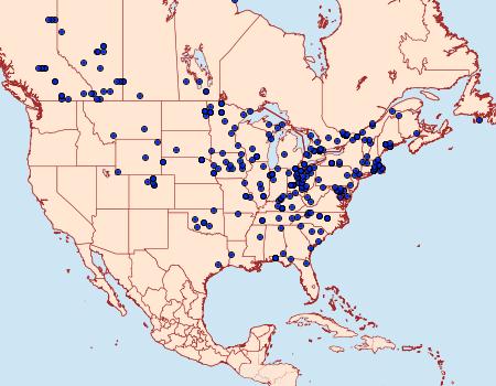 Distribution Data for Scopula inductata