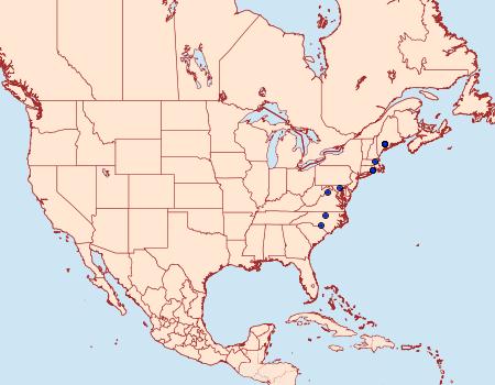 Distribution Data for Marmara serotinella