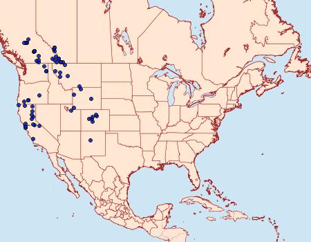 Distribution Data for Scopula luteolata