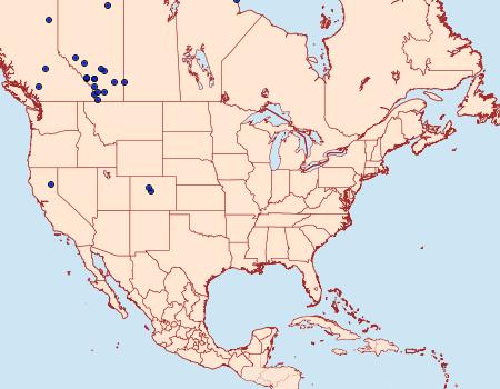 Distribution Data for Scopula sentinaria