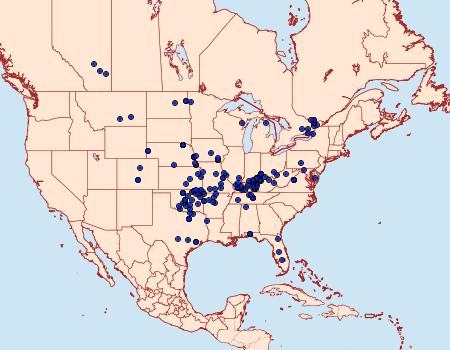 Distribution Data for Leptostales ferruminaria