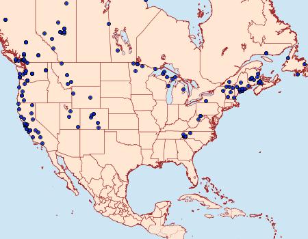 Distribution Data for Dysstroma citrata