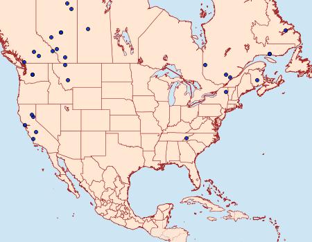 Distribution Data for Dysstroma suspectata