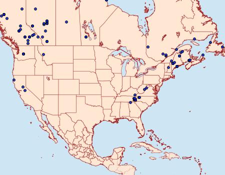 Distribution Data for Dysstroma truncata