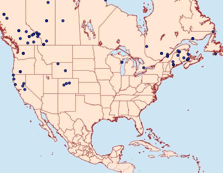 Distribution Data for Dysstroma walkerata