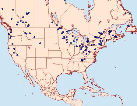 Distribution Data for Dysstroma hersiliata