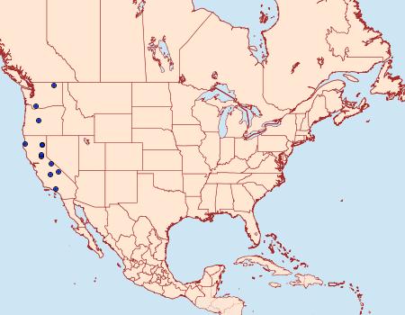 Distribution Data for Dysstroma colvillei