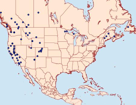 Distribution Data for Dysstroma brunneata