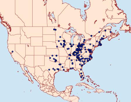 Distribution Data for Eulithis diversilineata