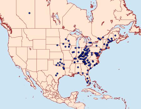 Distribution Data for Eulithis gracilineata