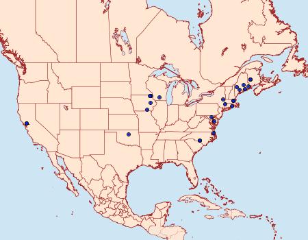 Distribution Data for Stigmella intermedia