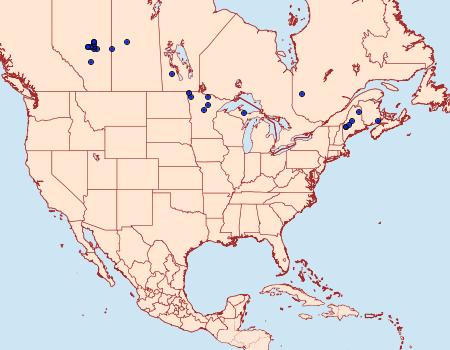 Distribution Data for Eulithis flavibrunneata