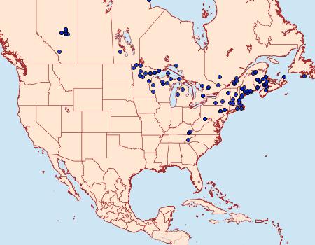 Distribution Data for Eulithis explanata