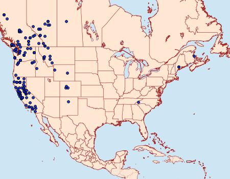 Distribution Data for Antepirrhoe semiatrata