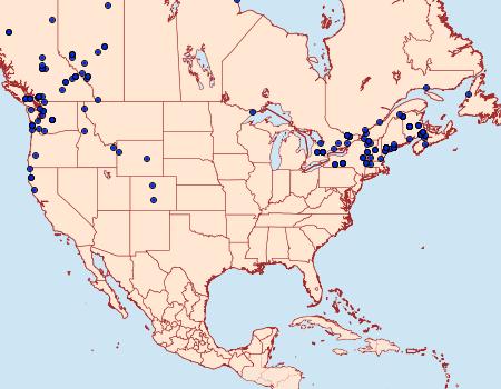 Distribution Data for Ecliptopera silaceata