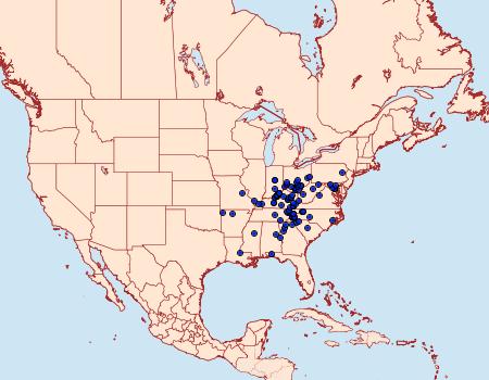 Distribution Data for Gandaritis atricolorata