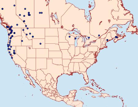 Distribution Data for Plemyria georgii