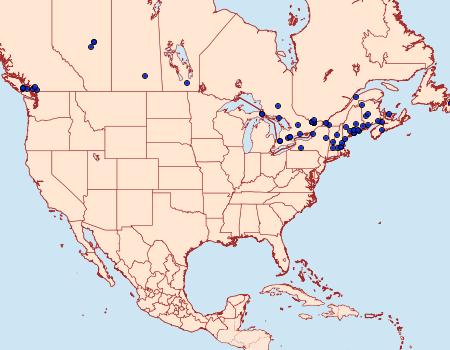 Distribution Data for Thera juniperata