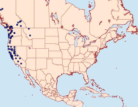 Distribution Data for Ceratodalia gueneata