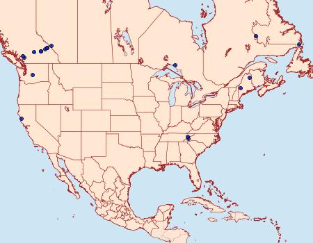 Distribution Data for Hydriomena exculpata