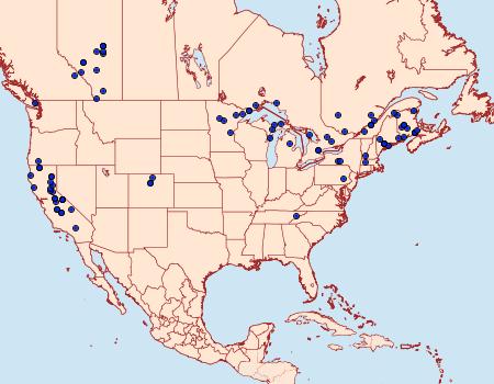 Distribution Data for Hydriomena perfracta