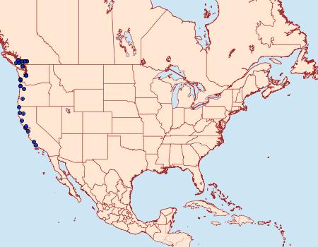 Distribution Data for Hydriomena marinata