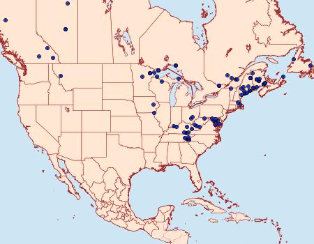 Distribution Data for Hydriomena divisaria