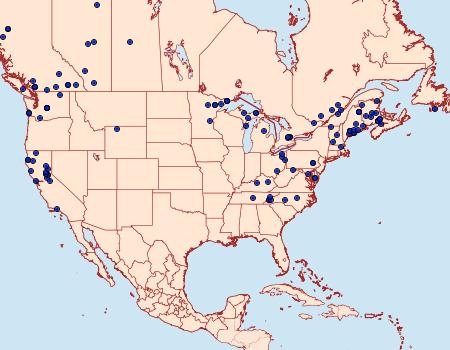 Distribution Data for Hydriomena renunciata