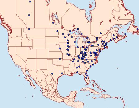 Distribution Data for Hydriomena transfigurata