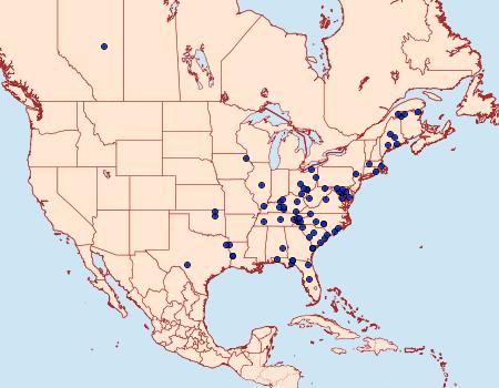 Distribution Data for Hydriomena pluviata