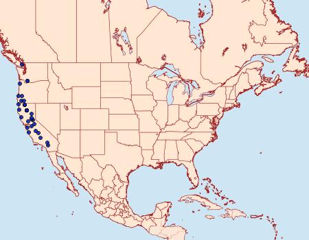 Distribution Data for Hydriomena crokeri