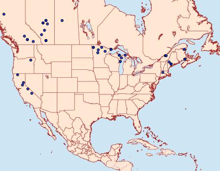 Distribution Data for Hydriomena ruberata