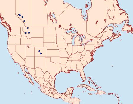 Distribution Data for Hydriomena macdunnoughi