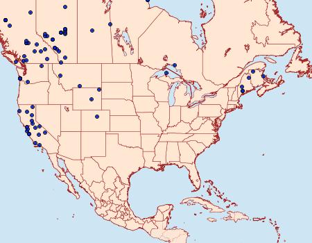 Distribution Data for Hydriomena furcata