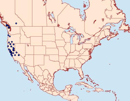 Distribution Data for Hydriomena manzanita