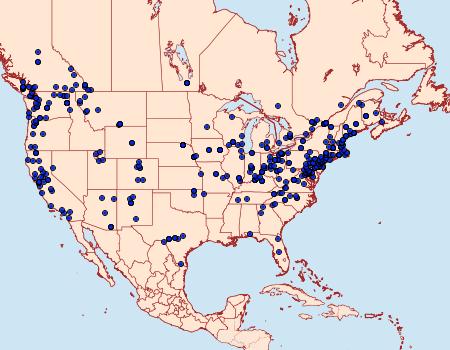 Distribution Data for Rheumaptera meadii