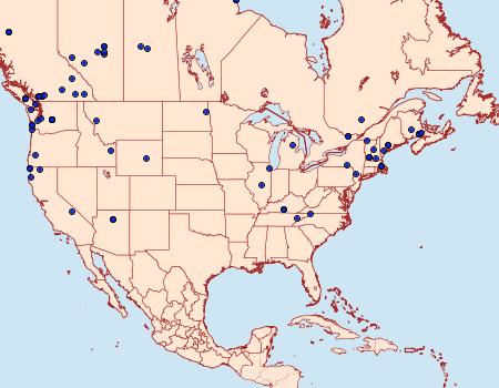 Distribution Data for Rheumaptera undulata