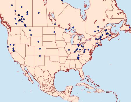 Distribution Data for Rheumaptera hastata