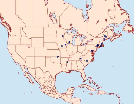 Distribution Data for Stigmella rhoifoliella