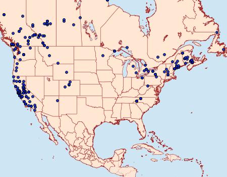 Distribution Data for Spargania magnoliata