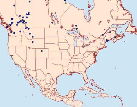 Distribution Data for Spargania luctuata