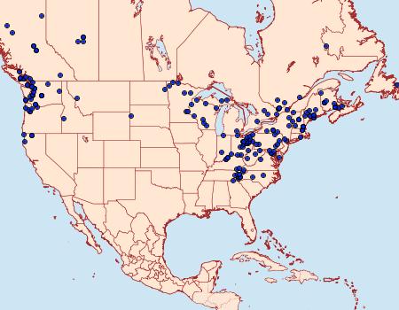 Distribution Data for Anticlea vasiliata