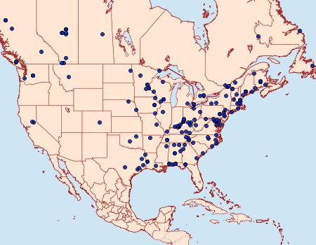 Distribution Data for Anticlea multiferata