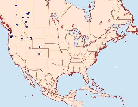 Distribution Data for Stamnodes topazata