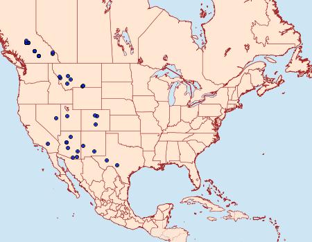 Distribution Data for Stamnoctenis morrisata