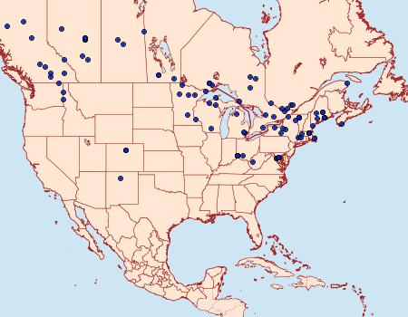 Distribution Data for Phyllonorycter apparella